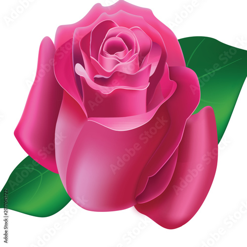 Photos This is a vintage-style watercolor image of a rose bouquet.