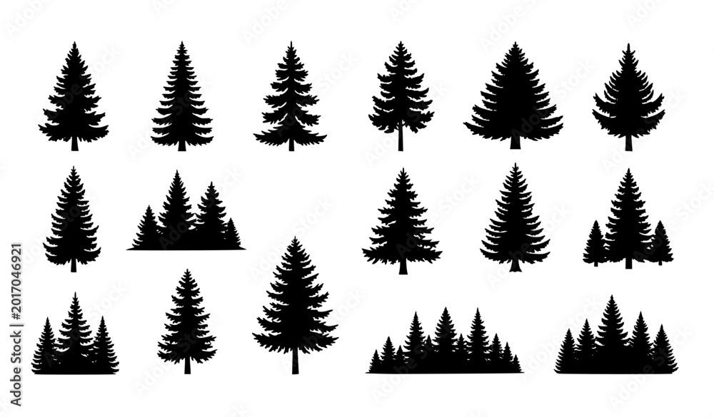 Obraz premium Forest Pine Tree Silhouette Set Isolated on White Background