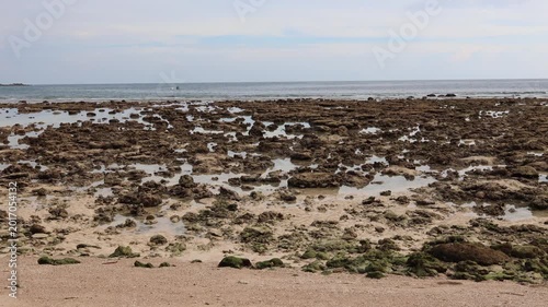 Rocky coastal landscape exposed at low tide. Irregular rock formations stretch toward the calm, blue sea under an overcast sky.