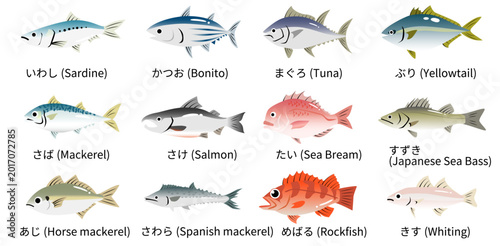 かわいい海のお魚イラストセット　カツオやマグロやタイやアジなど