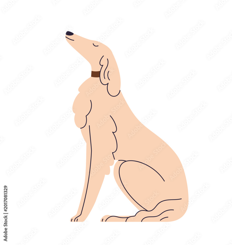 Obraz premium Cute Borzoi dog sitting in profile, side view. Slender thin canine animal breed. Proud confident doggy in seated pose. Smart obedient puppy. Flat vector illustration isolated on white background