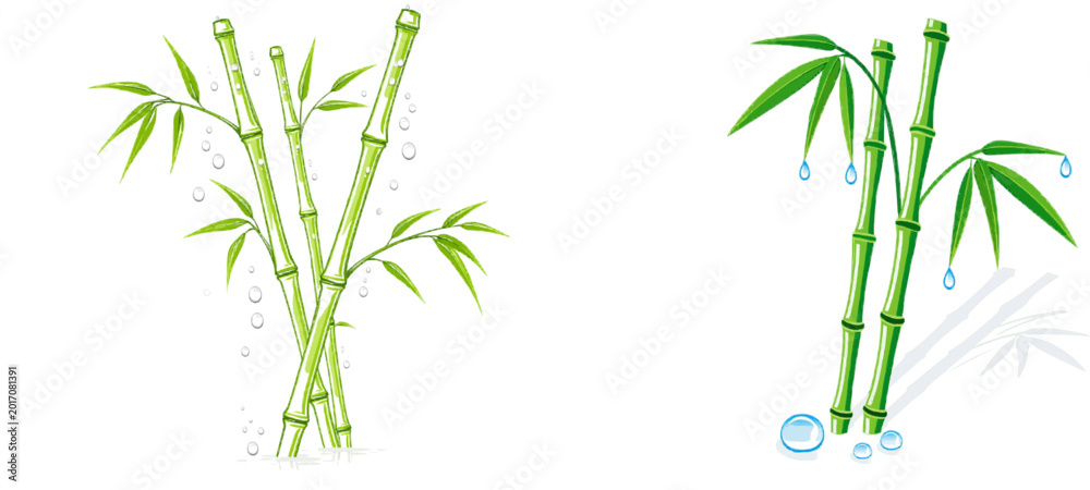 Fototapeta premium Morning dew glistens on the slender bamboo stalks, their jade green hues contrasting with the misty grey backdrop in this serene vector illustration
