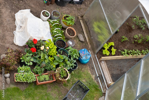 Photography Backyard Greenhouse and Vegetable Garden With Potted Plants, Raised Beds and Woo