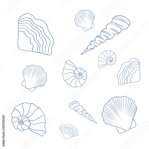 Doodle pattern. Seamless texture of seashells