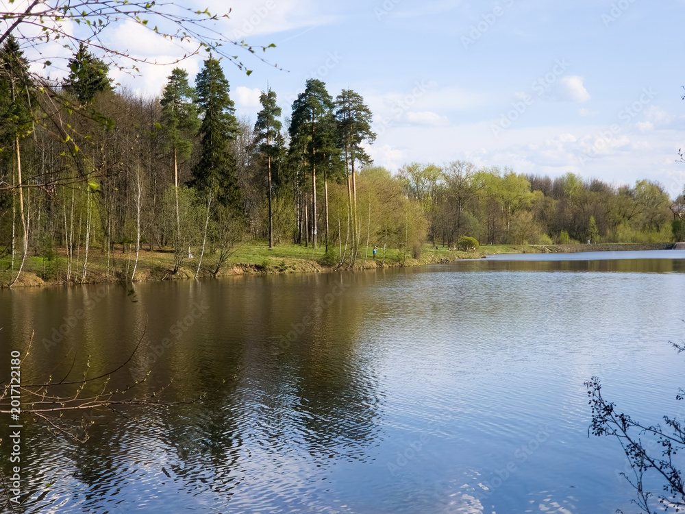 Fototapeta premium Tranquil Lakeside Scene With Lush Forest Reflections