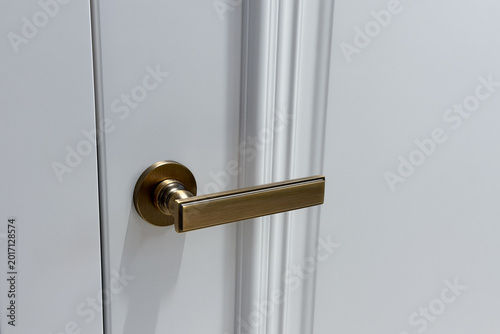 Modern brass door handle on white panel interior door