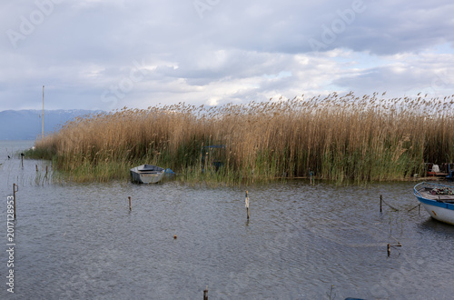 serene landscape of a calm lake with traditional wooden boats tucked into tall golden reeds under a cloudy sky, capturing a peaceful rustic waterfront atmosphere