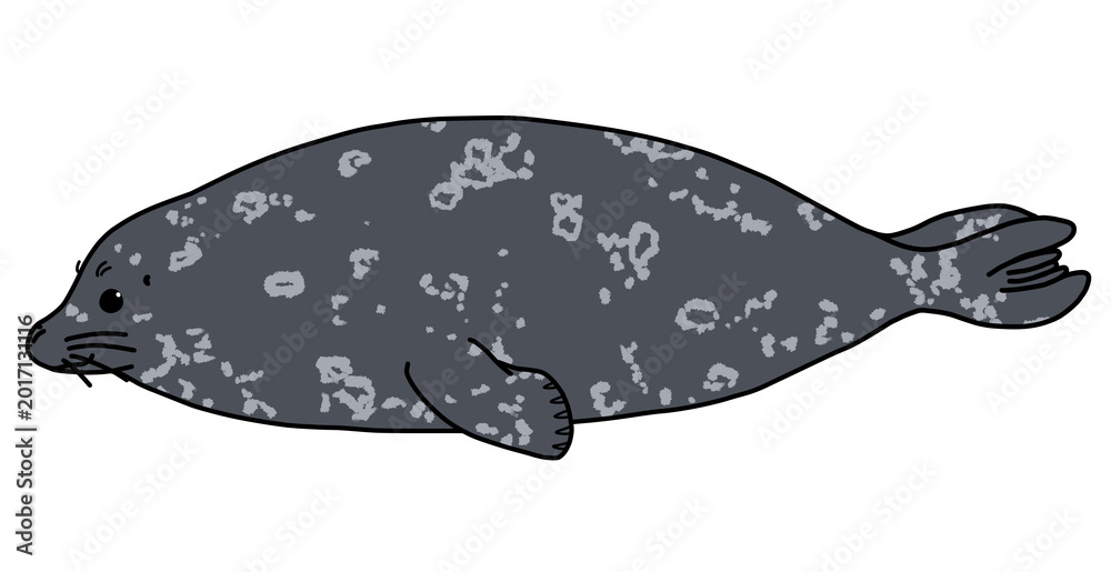 海豹 Seal Images – Browse 29 Stock Photos, Vectors, and Video