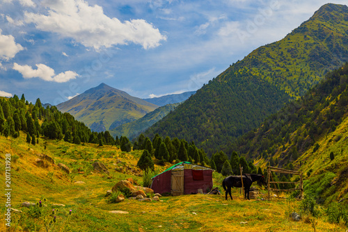 Konstfotografi Black Horse Tethered Near Rustic Shed in Mountain Valley