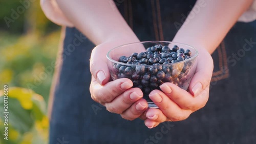 Woman hands holding glass bowl filled with fresh ripe organic blueberries in garden setting during sunset.