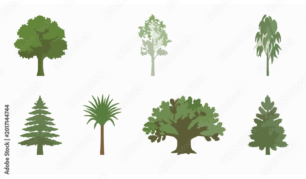 Fototapeta premium Tree Illustration Collection