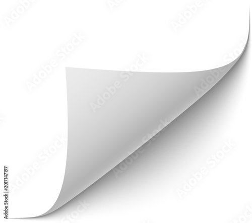 Cuadro en lienzo Blank white paper corner curling backwards over a white background