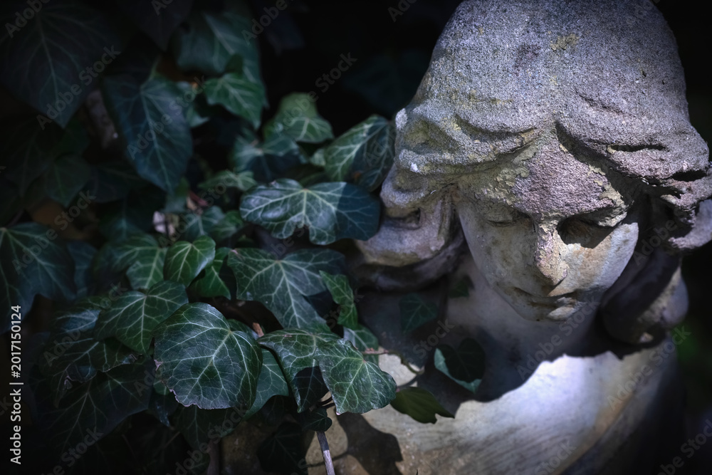 Fototapeta premium Sad angel statue hidden among ivy leaves in dark cemetery atmosphere