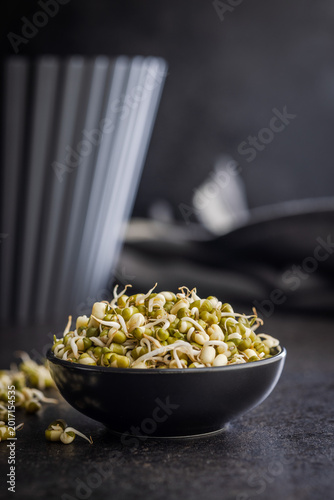 Fresh Mung Bean Sprouts in Black Bowl. Healthy Vegetarian Food, Raw Salad Ingredient and Organic Protein Snack