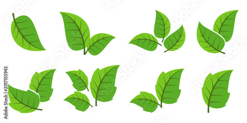 Leaf vector symbol, leaf illustration or leaf emoji in flat style. Spring leaf design, ecological nature theme.	