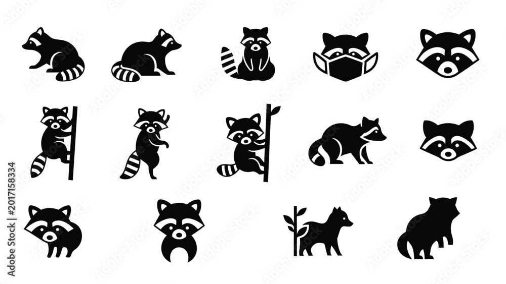 Fototapeta premium Black silhouette icon set of raccoons in multiple poses and styles.