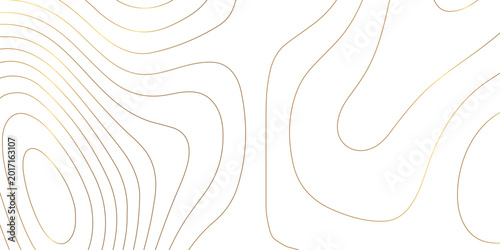 Abstract white golden gradient Topographic line map pattern background. Contour elevation topographic and textured Background Modern design with White background with topographic wavy patte.	