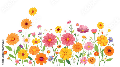 Vibrant floral arrangement with diverse wildflowers and blossoms on white background