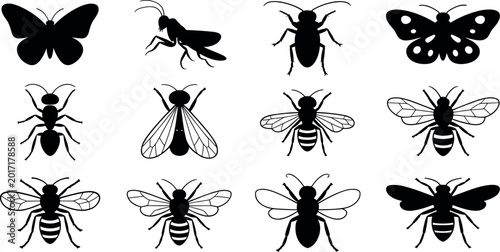 Bild auf Leinwand Black insect silhouettes set featuring butterfly bee wasp ant and beetle icons i