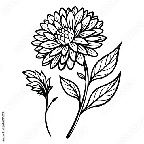 black and white flower