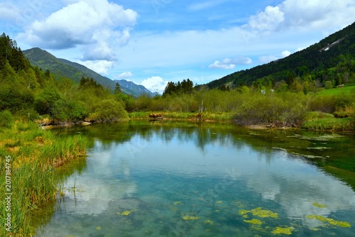 Photos View of lake Zelenci spring of Sava Dolinka in Gorenjska, Slovenia