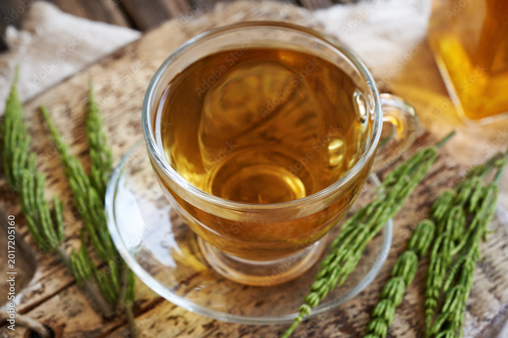 Φωτογραφία A glass cup of horsetail tea with fresh horsetail plant on a table