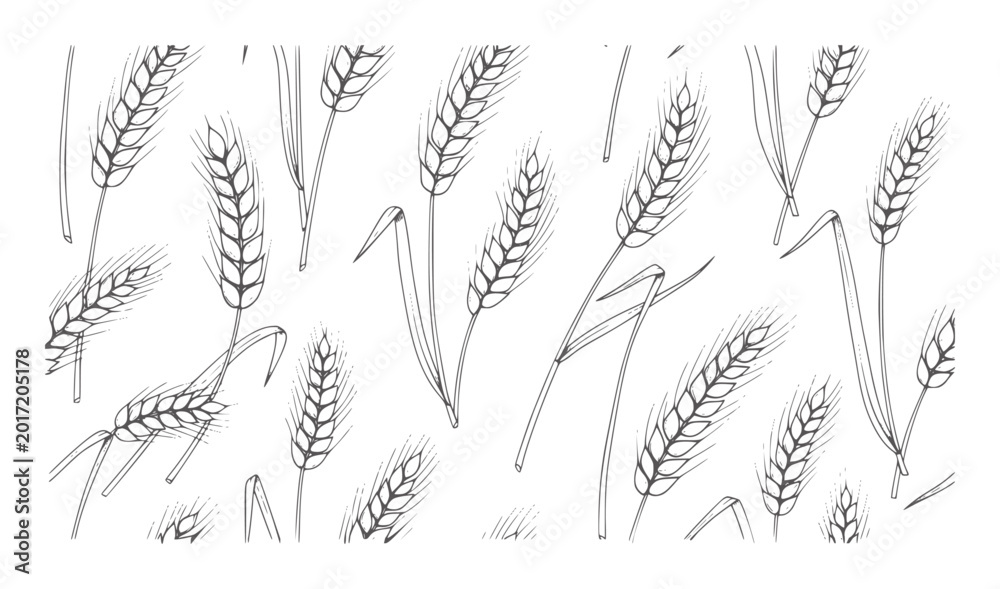 Εκτύπωση καμβά Hand drawn wheat stalks pattern white grain field harvest