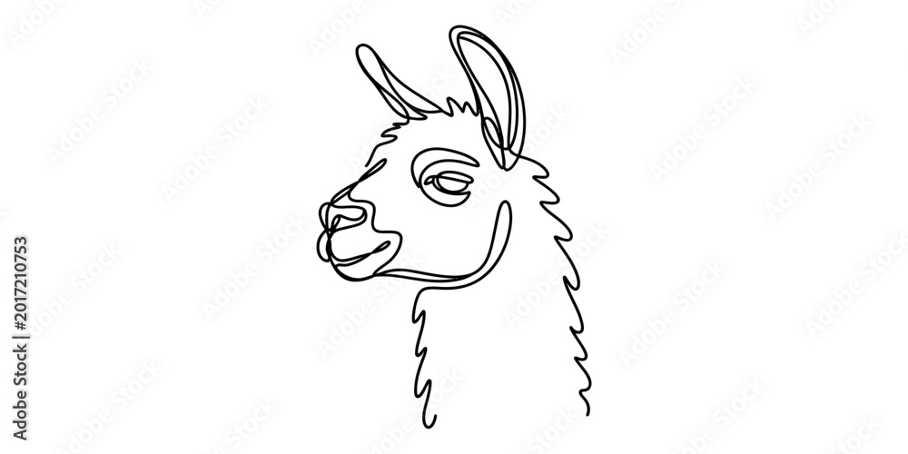 Fototapeta premium One line drawing of a llama head, simple black and white art Vector, illustration