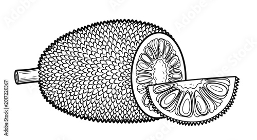 Foto Black and white illustration of a jackfruit with a sliced section showing detail