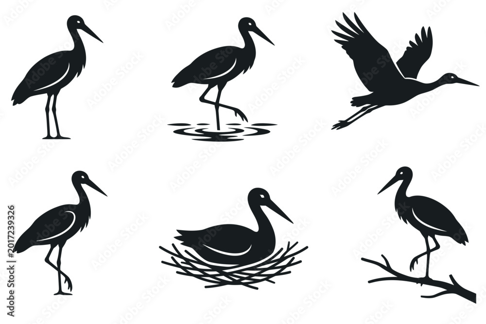 Fototapeta premium Black stork silhouettes in various poses like flying and nesting