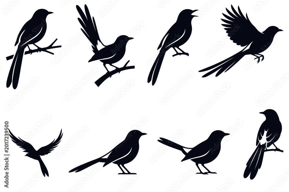 Fototapeta premium Black songbird silhouettes in various natural poses set