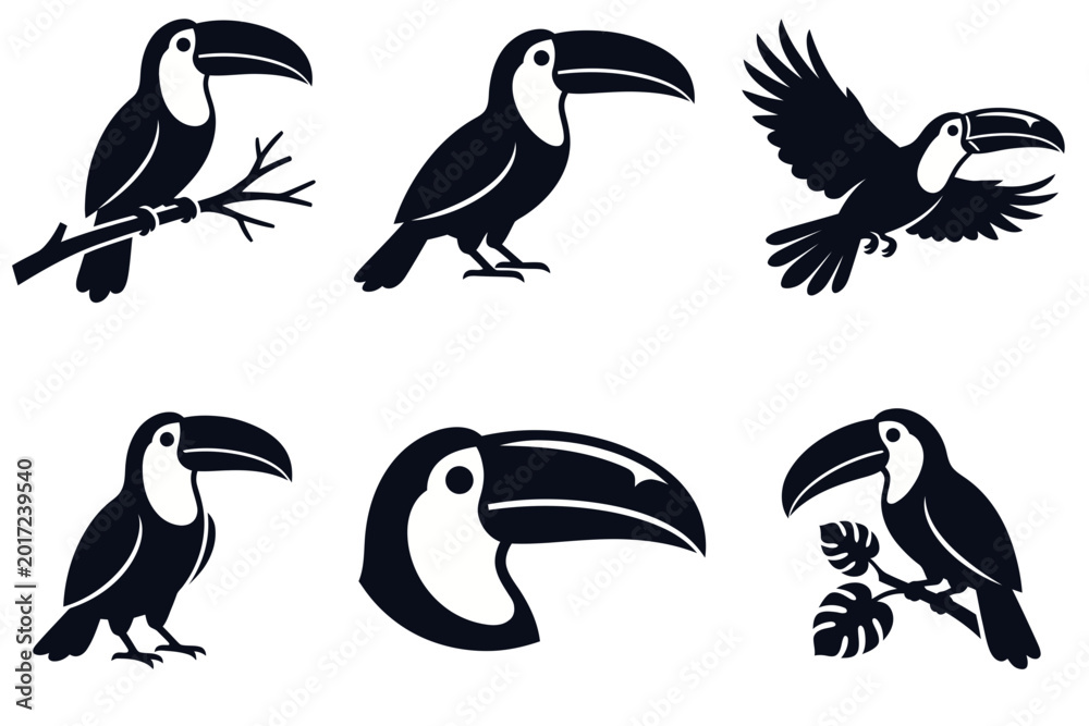 Fototapeta premium Toucan bird silhouette collection in various poses