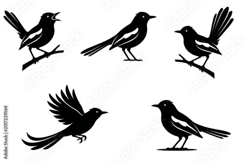 Oriental Magpie Robin Bird Silhouette Collection in Various Poses