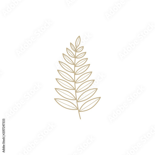 Luxury Gold Acacia Leaf Branch - Minimalist Botanical Line Art Vector for Organic Branding and Elegant Logo Design
