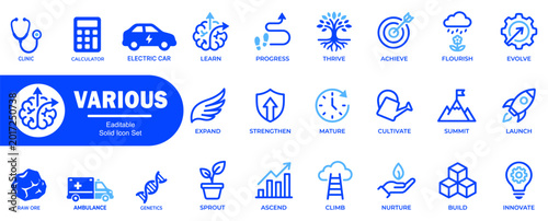 Quadro su tela Various editable solid icon set, featuring clinic, calculator, electric car, learn, progress, thrive, achieve, flourish, evolve, expand, strengthen