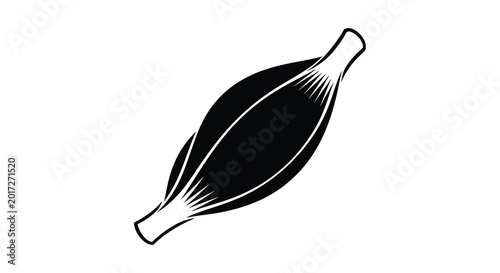 Cuadro en lienzo Muscle anatomy illustration black silhouette of a skeletal muscle fiber with ten