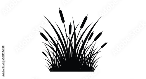 Cattail silhouette illustration wetland plants and reeds in black and white