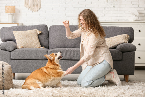 Young woman training Corgi ...