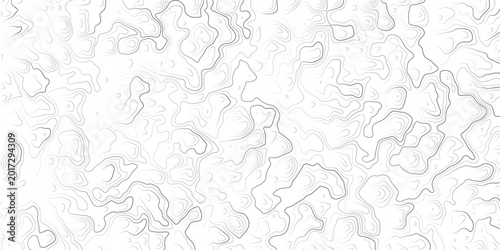 Bild auf Leinwand Gray abstract topographic map design with wavy lines and contours on white backg