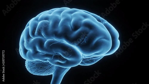 abstract glowing brain activity simulation, electric blue neural network pulses, medical research, mind exploration, science and technology