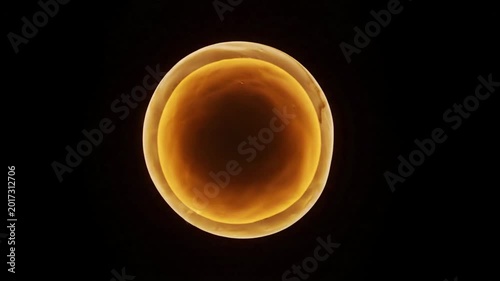 Glowing pulsating abstract cell in a spherical membrane, pulsing with inner light, medical or biological science, science fiction concept, black background