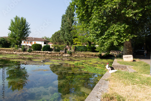 Foto Montorio, near Verona, is famed for its crystal-clear springs, where underground waters emerge to feed lush streams and historic watermills