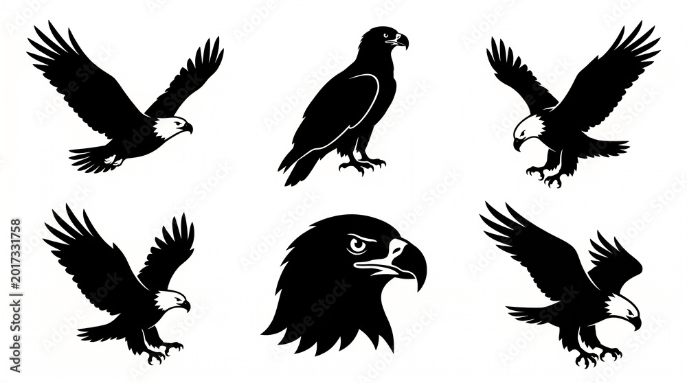Fototapeta premium Bald Eagle Silhouette Vector Sheet – Six Poses – Soaring Wings Up, Perched Profile, Diving Talons Forward, Landing Wings Back, Head Close-Up, Nesting with Wings Spread 