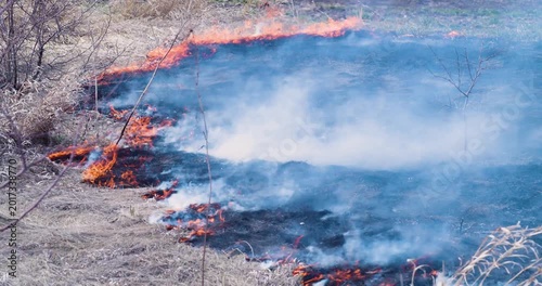 Experience the fiery spectacle of a wildfire in broad daylight, as it rapidly spreads through dried grass. This awe-inspiring scene highlights the duality of beauty and danger in nature.