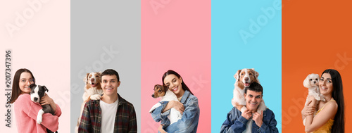 Set of owners with their do...