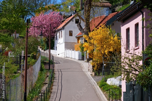Fotografia Telthusbakken famous steep picturesque street in St