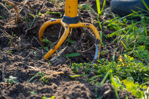 Canvas Print Yellow metal three prong hand cultivator tool pierces dark fertile earth to loosen soil and remove green weeds within outdoor garden plot during spring agricultural preparation