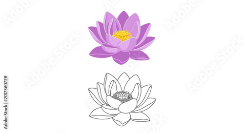 Foto Purple Lotus Flower Vector Illustration and Line Art Outline Set