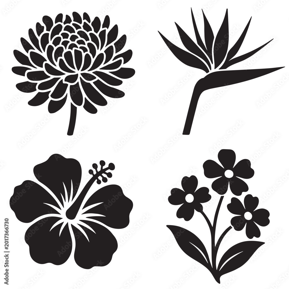 Obraz premium Silhouette flowers chrysanthemum bird of paradise hibiscus and floral cluster in simple black icons highlighting diverse botanical forms