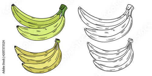 Hand-drawn illustration bananas in color and black white outline. Banana fruits, slices, and natural organic textures. Yellow tones, outline kids coloring pages and educational activities.